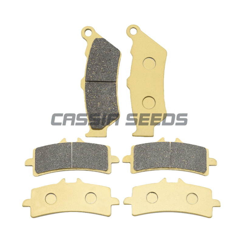 Carbon Ceramic Motorcycle Brake Rotor - Plaquettes de frein avant et arrière