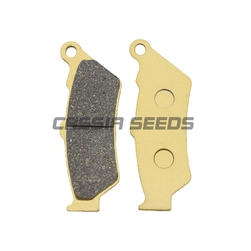 Plaquettes de frein avant et a - Carbon Ceramic Motorcycle Brake Rotor avis et prix