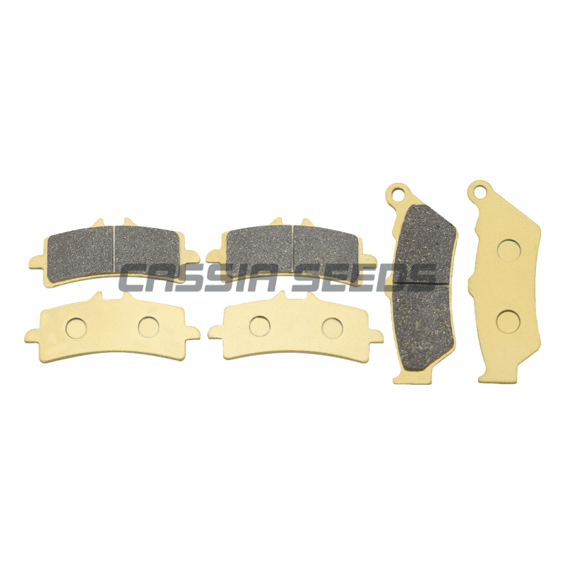 Plaquettes de frein avant et a - Carbon Ceramic Motorcycle Brake Rotor avis et prix